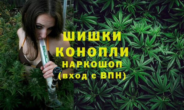 трава Козловка