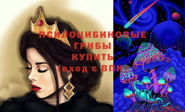 сатива Козельск