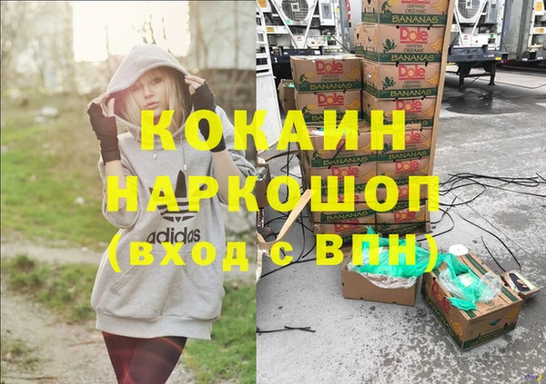 сатива Козельск