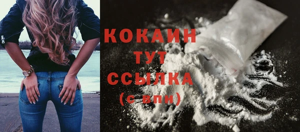 сатива Козельск