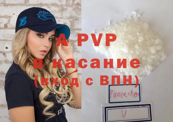 сатива Козельск