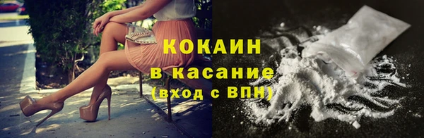 сатива Козельск