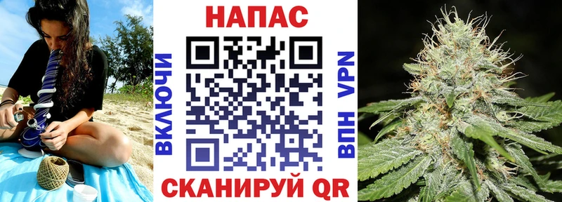 где купить   Шиханы  Шишки марихуана план 